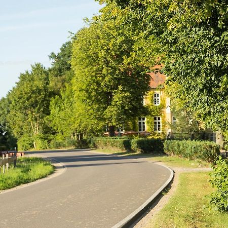 Naturnahes, Neu Moebl.Apartment, Hundefreundlich Neu Gaarz Exterior photo