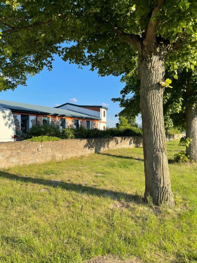 Naturnahes, Neu Moebl.Apartment, Hundefreundlich Neu Gaarz Exterior photo